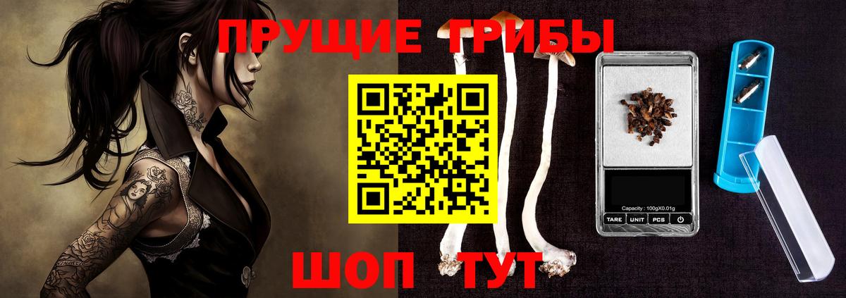 Галлюциногенные грибы Cubensis Рубцовск